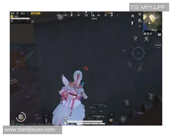 周芳专访：回顾和平精英历程